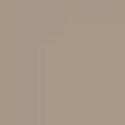 Brown / Raw Umber 50%