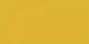 Orange / Indian Yellow