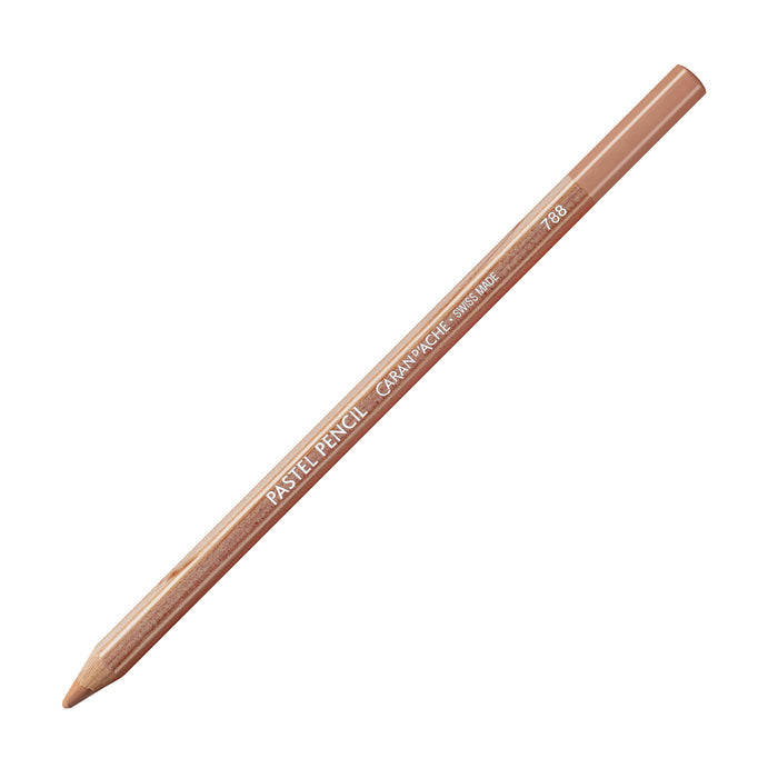 Brown / Warm Earth 5%