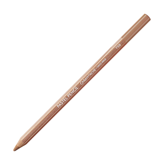 Brown / Warm Earth 40%