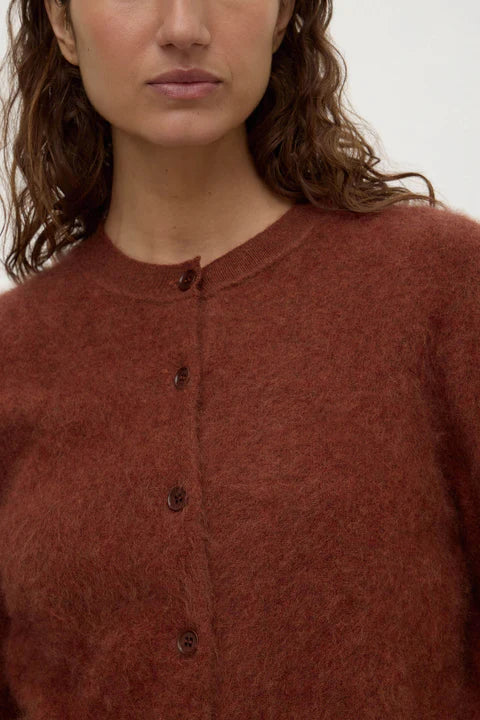 Close-up of a person wearing a brown button-up shirt against a white background
col_pattern