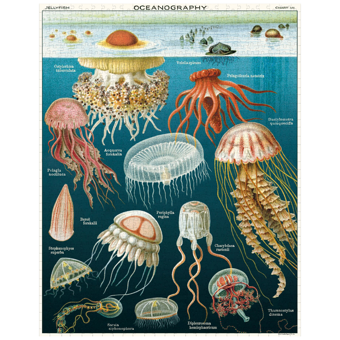 Cavallini 1,000 Piece Puzzle Jellyfish