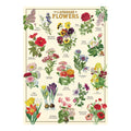 Cavallini Wrap Sheet 20" x 28" - Language of Flowers