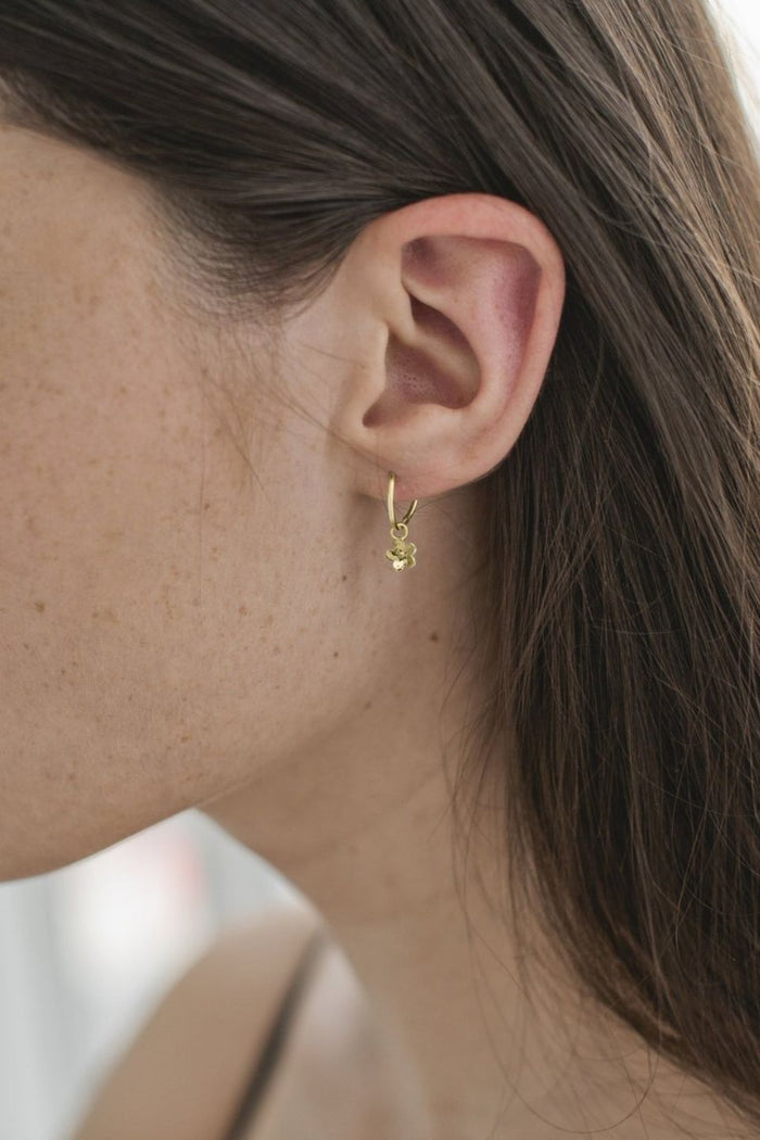 Daisy Day Gold Sleepers ACC Jewellery Sophie