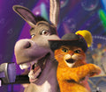 Donkey and Puss