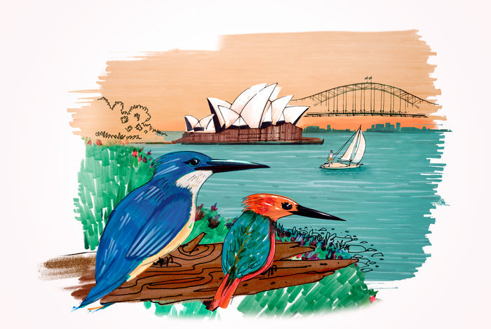 Faber-Castell Pitt Artist Pen City Set of 12 Sydney