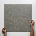 SIngle With Hand Frankie Light Grey External Porcelain Tile P5 600 x 600mm FRAPEX4 - The Blue Space