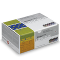Lascaux Studio Original paint set packaging on a white background