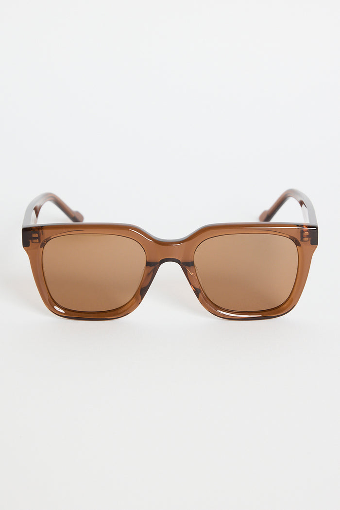Espresso-brown rounded-square sunglasses with warm brown tinted lenses, photographed on a white background.
