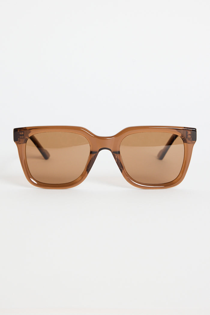 Espresso-brown rounded-square sunglasses with warm brown tinted lenses, photographed on a white background.
