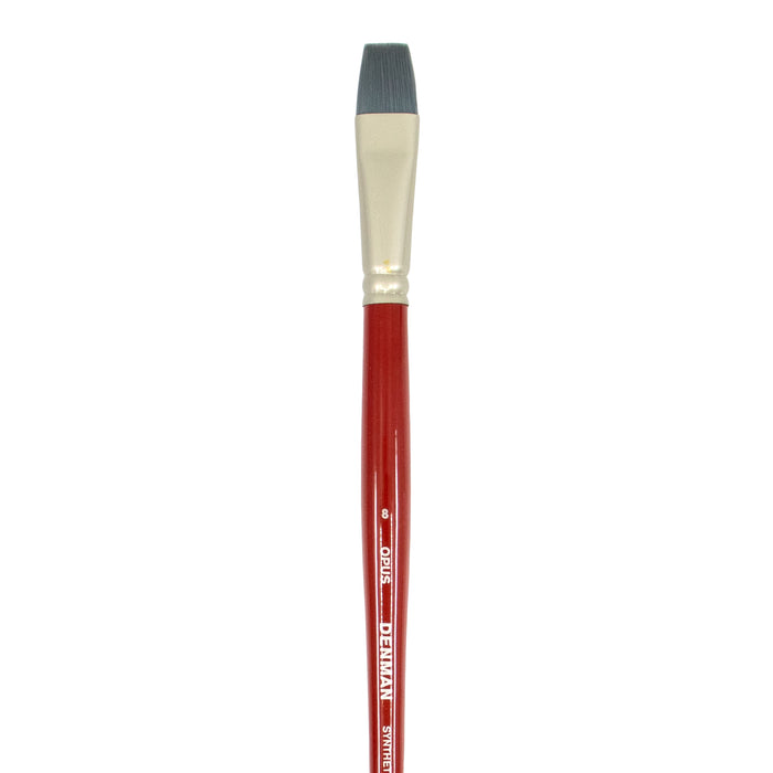 Opus Denman Long Handle Brushes