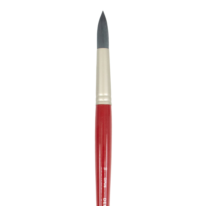 Opus Denman Long Handle Brushes