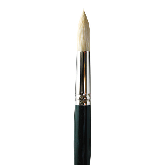 Opus Fortissimo Oil Brushes