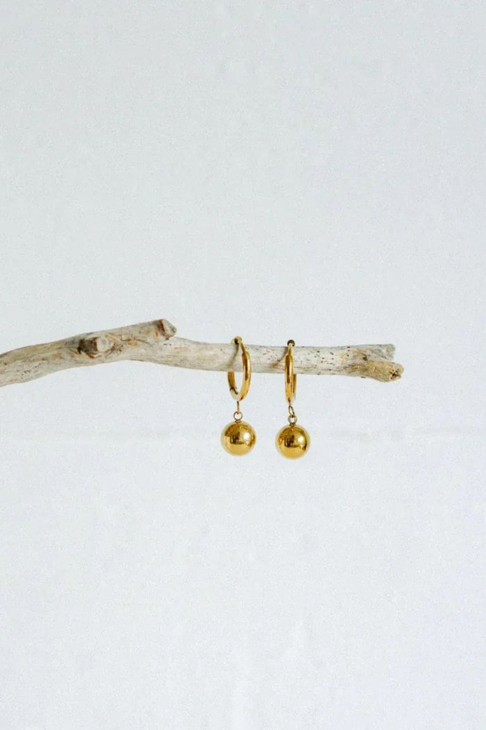 Gold earrings hanging from a branch on a light gray background