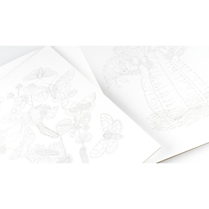 Pepin Press Artists' Colouring Book - Natural History
