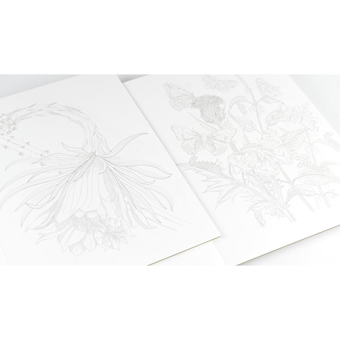 Pepin Press Artists' Colouring Book - Natural History