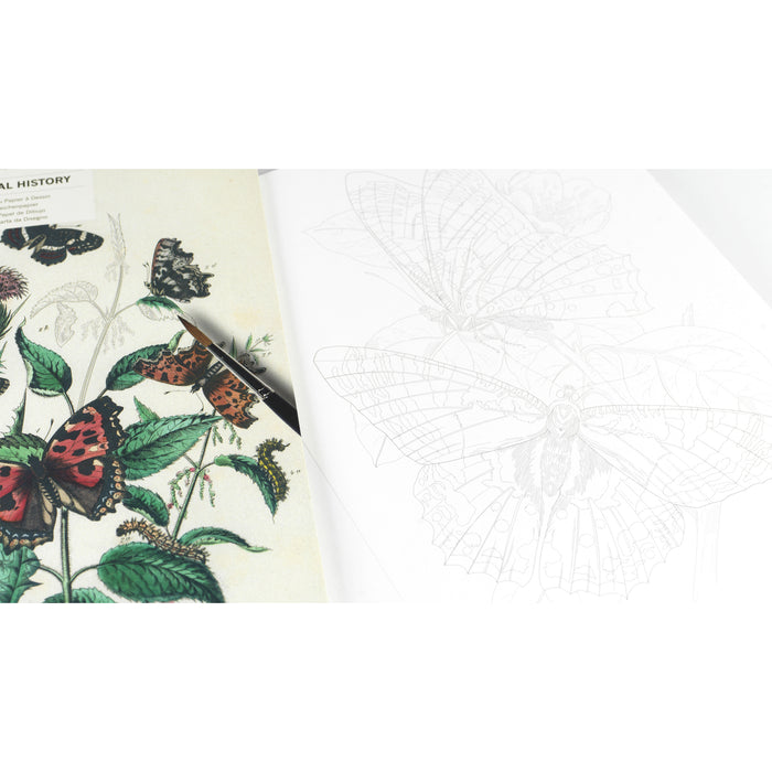 Pepin Press Artists' Colouring Book - Natural History