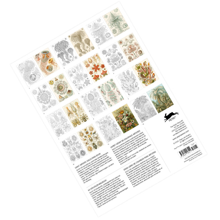 Pepin Press Giant Artists' Colouring Book - Haeckel's Art Forms in Nature - Clearance