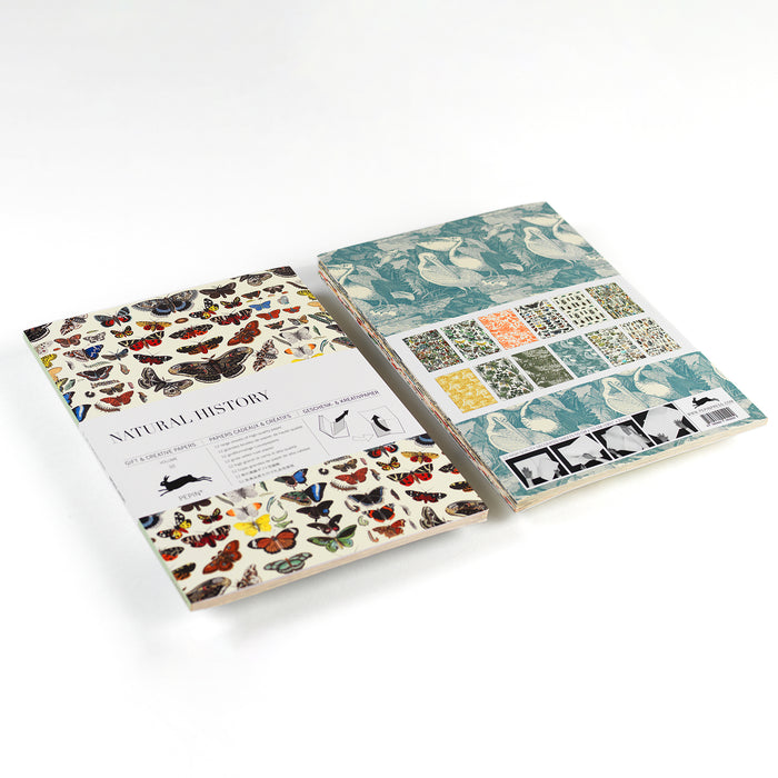 Pepin Press Gift & Creative Paper - Natural History