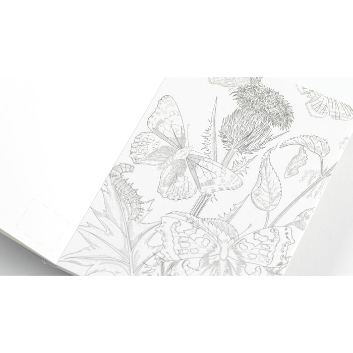 Pepin Press Watercolour Postcard Book - Natural History