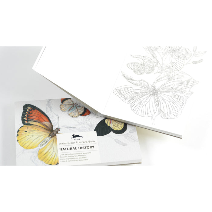 Pepin Press Watercolour Postcard Book - Natural History