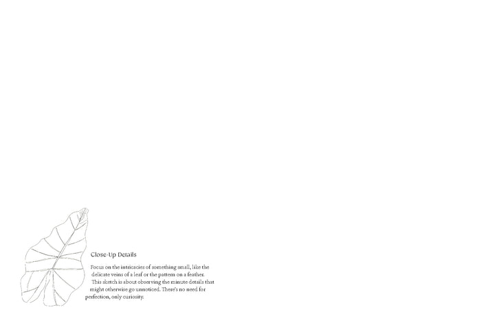 Quiet Moments: A Guided Sketchbook by Kate Lewis