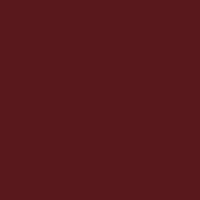 Rembrandt Soft Pastels - Brown or Green