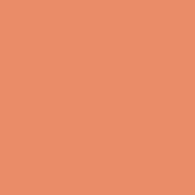 Rembrandt Soft Pastels - Brown or Green