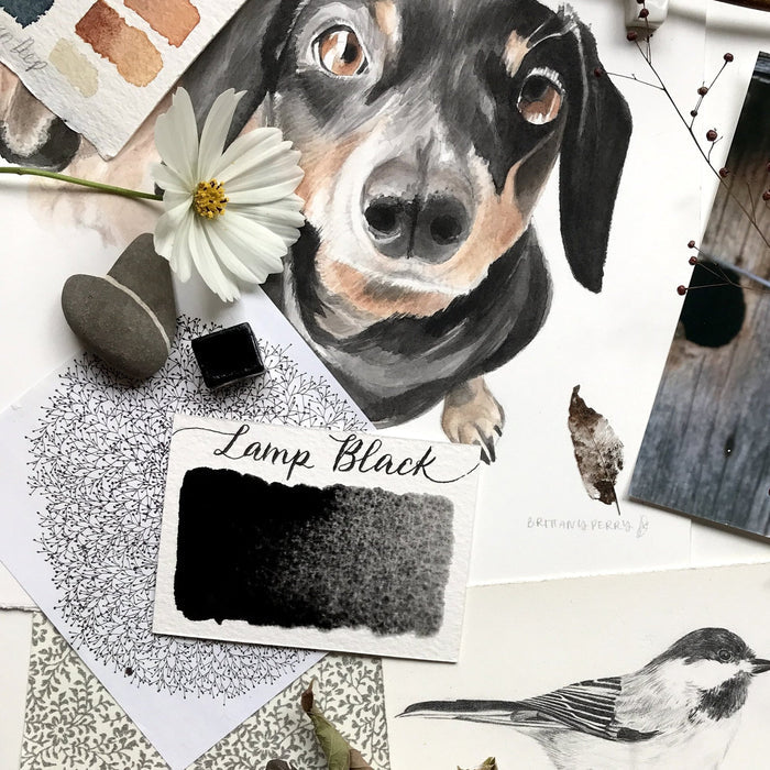 Black / Lamp Black