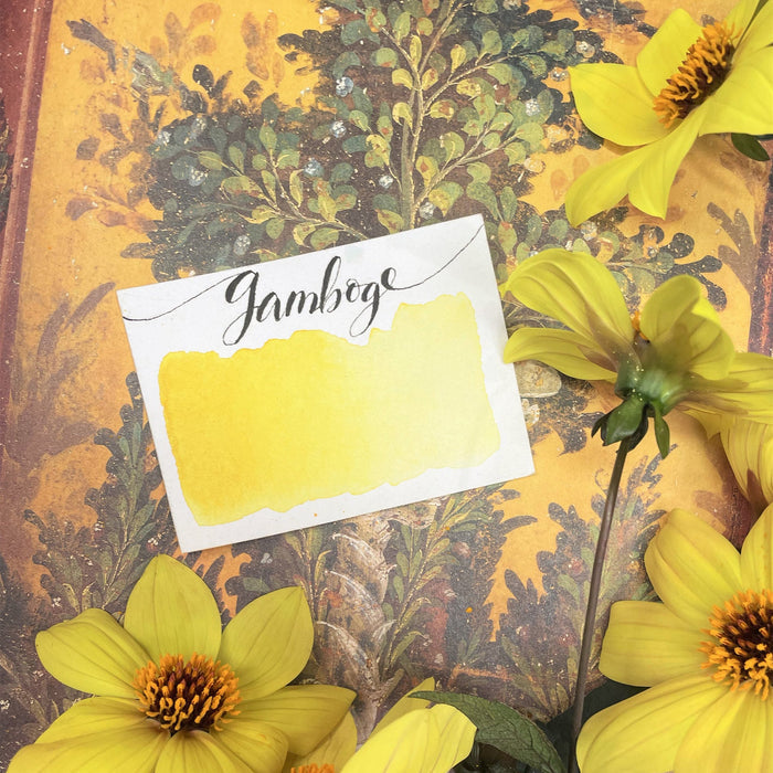 Yellow / Gamboge