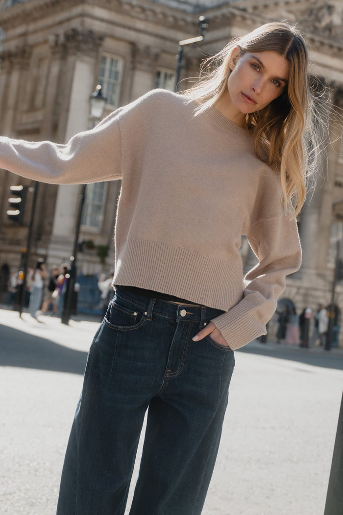 Veracious Mushroom Crewneck Relaxed Jumper