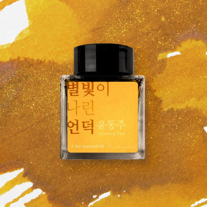 Wearingeul Korean Literature Ink Bottle - A Star Spattered Hill (30 ml) - Pen Boutique Ltd