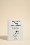 What Is Your Dog Really Thinking?