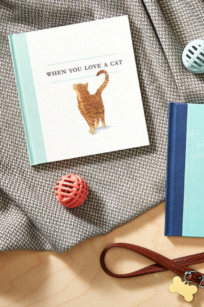 When You Love A Cat