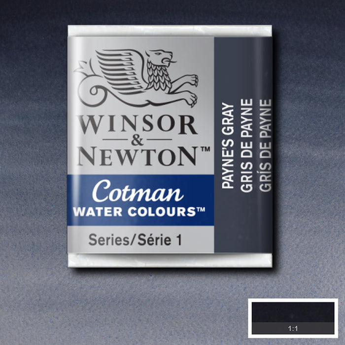 Grey / Payne's Gray