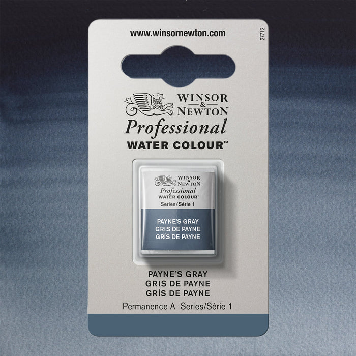 Grey / Payne's Gray