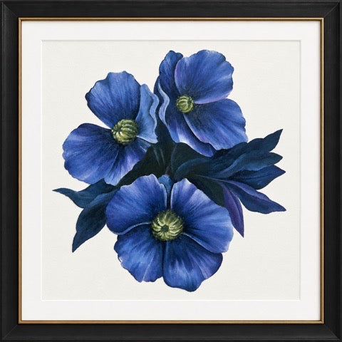 Winter’s Diamond: Painting a Hellebore Flower with Willow Wolfe