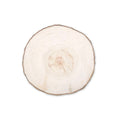 Wood Craft Willow Slice